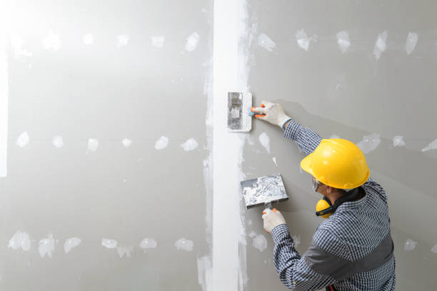 Best Drywall Finishing  in USA